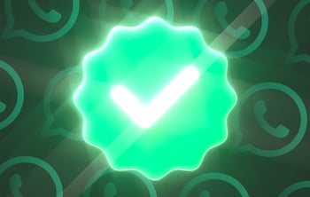 How to get WhatsApp green tick verification | charles